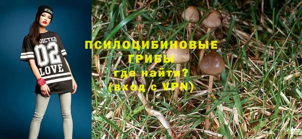 MDMA Горнозаводск