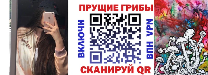Галлюциногенные грибы Psilocybine cubensis  купить закладку  Данилов 
